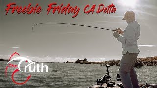 How Catch Bass on The Ca Delta Using a Crankbait - Freebie Friday#4