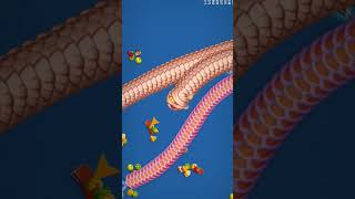 {#040}& WormsZone.io Slither Snake Top01/Best World Record I Kill the biggest snake Worms #wormszone