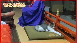 今朝は猫と…朝のお勤め