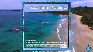 NOV 15 DAY 4 OF 8 DAY Water Meditation & Consciousness Experiment with Plant Music