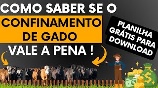 Como saber se o confinamento de gado esta valendo a pena !! ( planilha grátis na descrição )