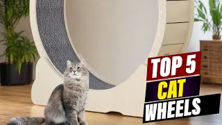 DIY Cat Wheel: The Perfect Indoor Exercise Solution