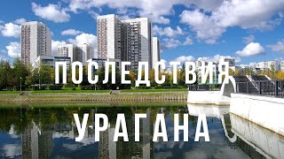 Последствия урагана / Внуки в гостях, камера под угрозой / зашла в Фикс прайс / Подарки из Армении