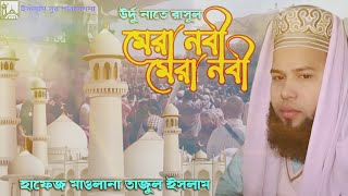 ও মেরা নবী, মেরা নবী, মেরা নবী হে | হাফেজ তাজুল ইসলাম| হৃদয়গ্রাহী উর্দু নাতে রাসূল ২০২১