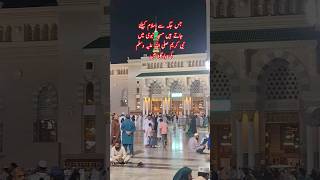 MUALANA PEER SYED HABIBULLAH NAQASHBANDI MASJID NABVI MA | ROZA RASOOL GATE 1#shortsviral #madina