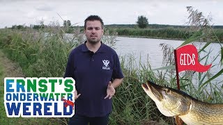 Onze visie op WATERNATUUR #15 Ernst's OnderWaterWereld