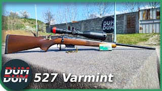 CZ 527 Varmint (.17 Hornet), mali ali ultra brz!