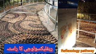 reflexology pathway ریفلیکسولوجی کا راست