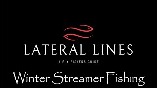 Winter Streamer Fishing