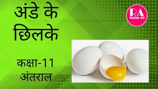 #अंतराल पाठ-1 अंडे के छिलके ।। मोहन राकेश कि एकांकी 'अंडे के छिलके' का सारांश कक्षा-11 के लिए