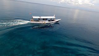 Blue Water Explore Kepulauan Selayar | spearfishing Indonesia