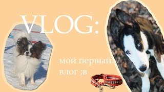 VLOG: мой первый... влог :D