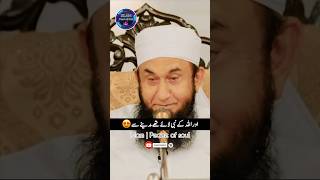 Allah k Nabi(S.A.W) Ki Qurbani🐪 | Molana Tariq Jameel | Islamic WhatsApp status #youtubeshorts