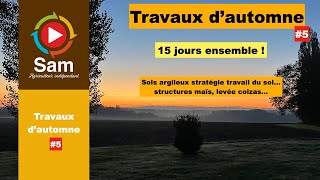 Travaux d'automne #5. 15 jours ensemble ! Levées colzas, structures sous maïs, stratégies w du sol.