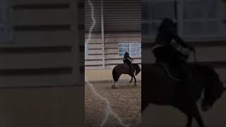 salto w przód #funny #shortvideo #pets#horse #viralvideo #viralshorts #foryou