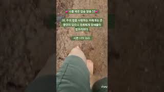 🌿주의 법을 사랑하는 자에게는🌿/나를 세운 암송 말씀 53/맨발 걷기 좋은 날 171/앞산 맨발산행루틴