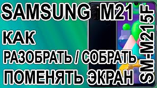 Как разобрать, как поменять дисплей на телефоне Samsung M21 SM-M215F/DSN