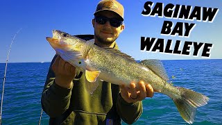 WALLEYE FISHING on SAGINAW BAY! TROLLING CRAWLER HARNESSES for SPRING WALLEYE! Fish Camp 2023