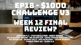 DO WE HAVE A WINNER? + BONUS OPTIMIZATION TIPS | Week Twelve Review! - EP18 $1000 Challenge v3