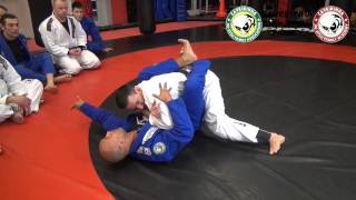 Technique #4 from armbar counter 2 sweep