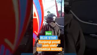 BUS BLUE STAR KUNJUNGI PUSAT OLEH-OLEH CISARUA BOGOR #shorts #videobusindonesia #tag #viral