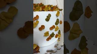 Cake decorated fall cake #bettyscakecreations #subscribe #cakeideas #foryou #cake #fypシ