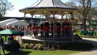 irish guards band stand from the rear #queenat90