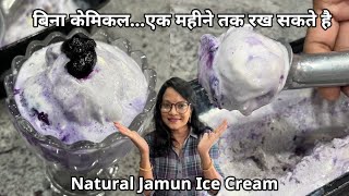 मलाई से बिना केमिकल Natural Jamun Icecream & Jamun Crush | 10 तरह की अलग अलग रेसिपी बन जाएगी |