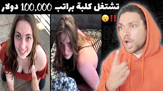 فتاة تشتغل كلبة براتب 100,00 دولار !! وظائف لم تكن تعرف أنها موجودة ...؟