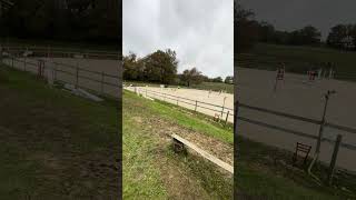 Falling off horse - chute de cheval #horse #horseriding #falling #cheval #equitation #fail #accident