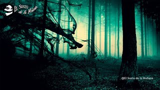 Experiencias Paranormales de Nuestra Audiencia (10 Relatos) – #ElSustodelaMañana