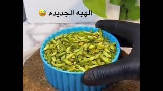 الهبة الجديدة .