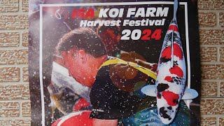 ISA showa koifarm Big jumbo koi event harvest 2024 Heeschkoi