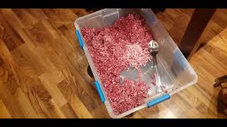 Starting to make some Deer Burger from the Deer I got Using Pork Belley from hog I butchered.