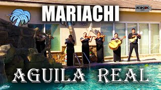 Mariachi Aguila Real