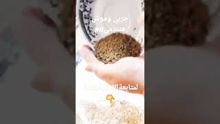 جرببي وموش هتندامي## هم يم للطبخ ##