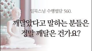 깨달았다고 말하는 분들은 정말 깨달은 건가요?ㅣ일묵스님ㅣ제따와나선원 수행법담 560.