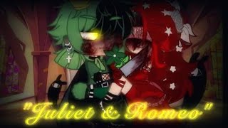 🐻Romeo & Juliet🦔 💕(Love?) Story💕🔪 (Tw⚠️ : gore) •!13+!•