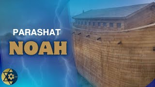 Parashat Noach