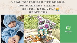 VLOG:поставили прививки Пентаксим и Превенар🥲ЦВЕТОК-КАПУСТА?😁приложение ЕДАДИЛ/будни мамы🌸