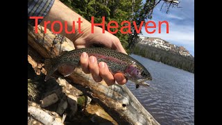 Fishing the Uintas, Utah