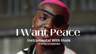 Ruger – I Want Peace (Instrumental  With Hook) Original Open verse