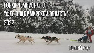 гонка на собачьих упряжках глазами участника, экшн камера \ Dog sledding race/ action camera