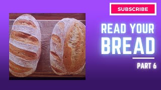 How To Read Your Bread Episode 6