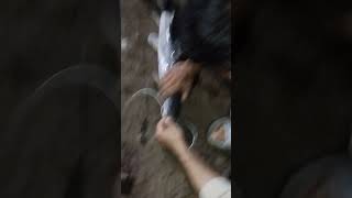 Rawal Dam Fishing Live Catch