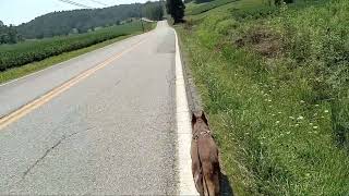 Rural back roads of Ohio