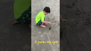 Hey guys, let’s see what we find at the beach. #kidfriendly #beachlife #kidsvideo #hiltonheadisland