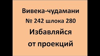 ВивекаЧудамани курс Свамини Видьянанды Сарасвати 242 шлока 280 Избавляйся от проекций