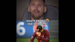 They made goats happy😊🔥🐐#messi #football #meme #memes #edit #ronaldo  #viral #trending