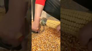 #mykitchen #corn #kitchen #cooking #shortvideo